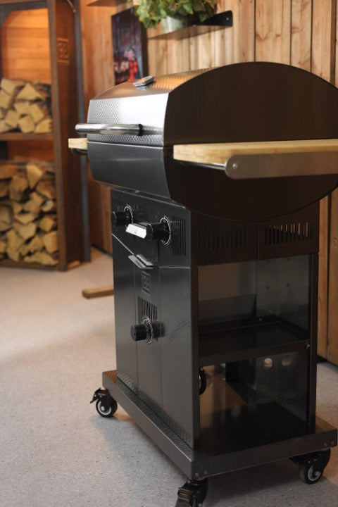 FUSION 24 Gas Grill